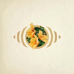 黄色免费在线看
